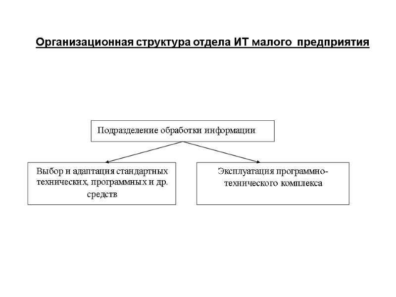 Организационная структура отдела ИТ малого  предприятия